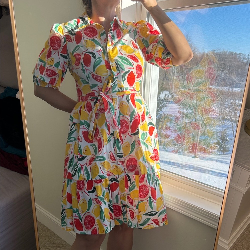 Colorful Fruit Print Dress